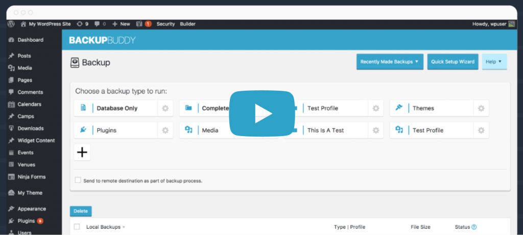Best WordPress backup plugin- backupbuddy.
